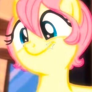 Meet your Posher, The